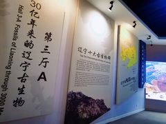 -辽宁古生物博物馆