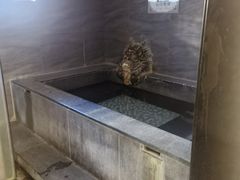 -聚春园·福龙泉澡堂(温泉店)