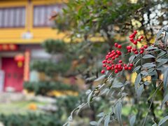 -重元寺香积厨素斋馆