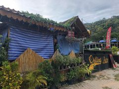 -Jungle Kitchen