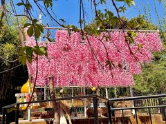 -丽泽山庄·生态怀柔菜·虹鳟鱼(红螺寺店)