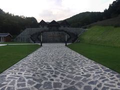 -云岭野山参风景区