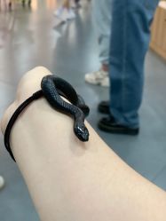 -Moni星球萌宠·小马宝莉·灵蛇·高端高阶全萌宠互动体验俱乐部(红豆国际广场店)