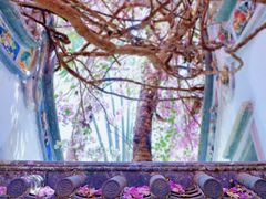 -深圳国际园林花卉博览园