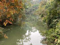 -中国科学院西双版纳热带植物园