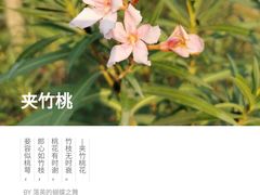 -广西壮族自治区药用植物园