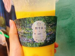 -野萃山·潮汕厚果汁(十亩地店)
