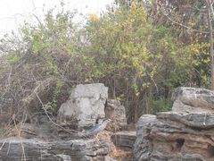 -南翠屏公园