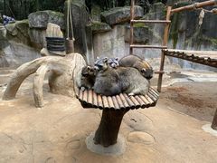 -杭州野生动物世界