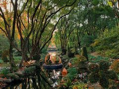 -上海共青森林公园