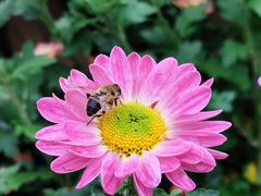 -宜昌富力皇冠假日酒店·咖啡1号西餐厅