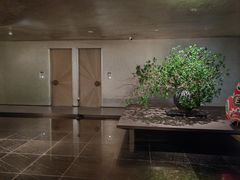 -隐溪茶馆(静安寺店)