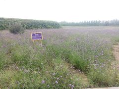 -北戴河圣蓝海洋公园