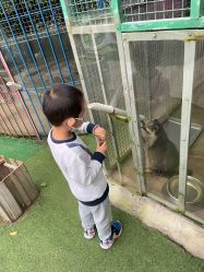 -萌宠亲子动物乐园(槐房万达店)