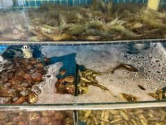 -蟹谢蒸鲜自助餐厅