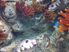 -福州罗源湾海洋世界旅游区