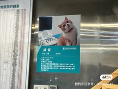 -伟伟宠物医院·CT影像中心·瑞派犬猫综合性门诊(汉口总院)