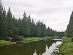 -黄海国家森林公园