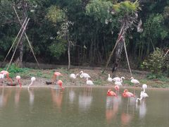 -杭州野生动物世界