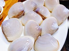 文蛤-凯华海鲜火锅·传承三十六年