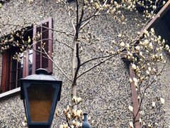 -思南公馆商业街