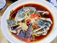 -煲来饱去冷水鱼