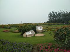-杭州湾海上花田景区