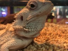 -三旗百汇商品城