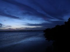 -宝安西湾红树林湿地公园