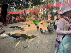 -西双版纳总佛寺