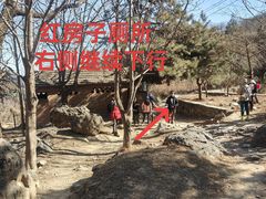 -大觉寺-停车场
