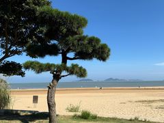 -普陀山风景名胜区-千步大沙