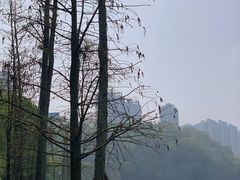 -重庆彩云湖湿地公园