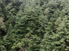 -苍山感通索道