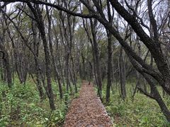 -白草畔自然风景区