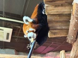 -Zoolung Zoolung动物主题公园(海信广场店)