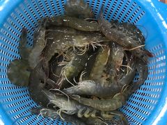 -南海渔家•海鲜•正宗海南菜(海棠湾店)
