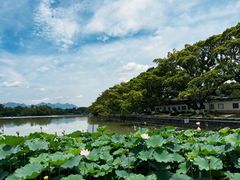 -江心屿景区