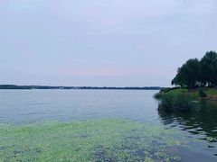 -丁香湖公园