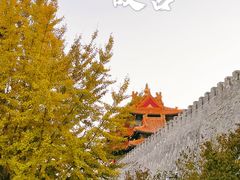 -故宫博物院(故宫)