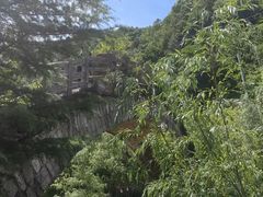 -牛背梁国家森林公园