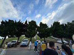 -小麦岛公园