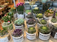 -双季花艺园艺市场(浦东店)