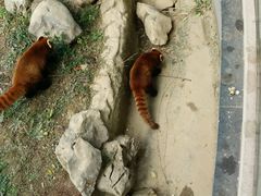 -南昌动物园