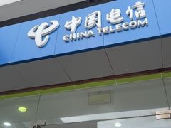 -中国电信(肇嘉浜路专营店)
