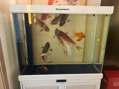 -虹泥小厨(南国花园总店)