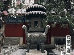 -北海公园