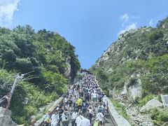 -泰山风景名胜区