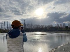 -上海长兴岛郊野公园