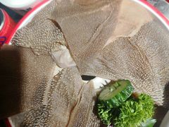-大龙燚火锅(春熙店)